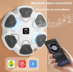 Smart Music Boxing Reaction Trainer