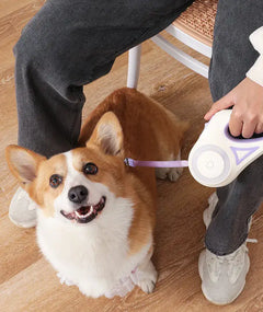 LED Dog Leash-Always visible In The Dark